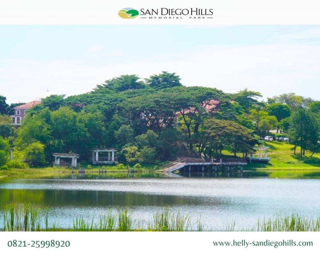 View Family Center